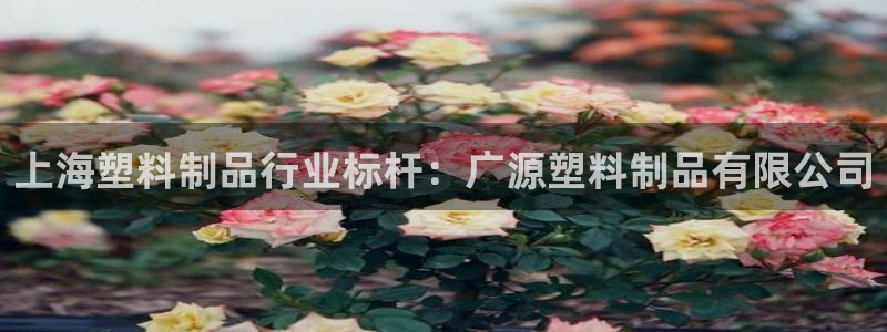 太陽集團電子游戲返還8元：上海塑料制品行業(yè)標桿：廣源塑料制品