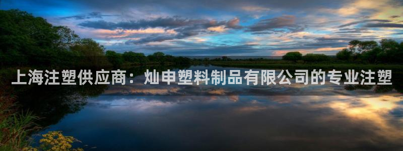 太陽集團是什么：上海注塑供應(yīng)商：燦申塑料制品有限公司的專業(yè)注