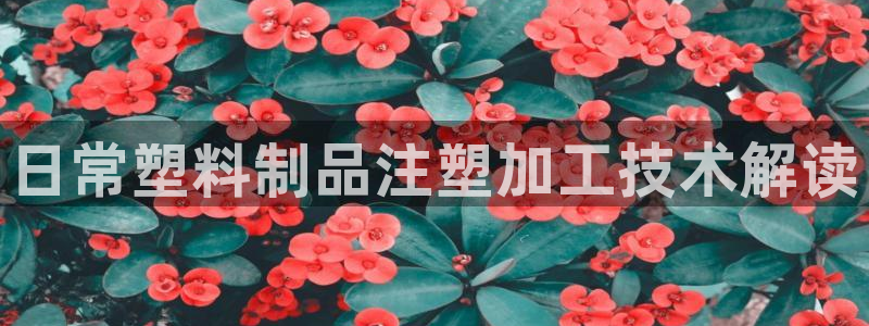 太陽gg注冊/登錄：日常塑料制品注塑加工技術解讀
