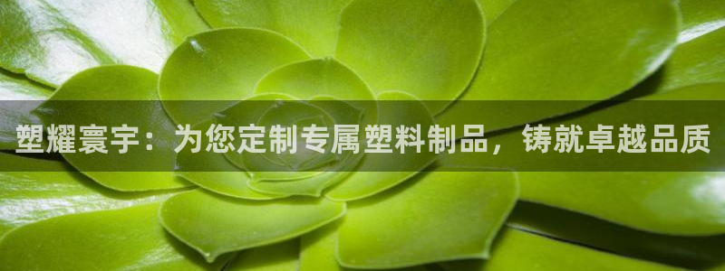 太陽成集團老板是誰：塑耀寰宇：為您定制專屬塑料制品，鑄就卓越