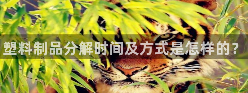 冷太陽(yáng)演員表：塑料制品分解時(shí)間及方式是怎樣的？